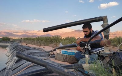 الابتكار المجتمعي في السياق الفلسطيني: ماذا ولماذا وكيف؟ ما هو الابتكار المجتمعي؟