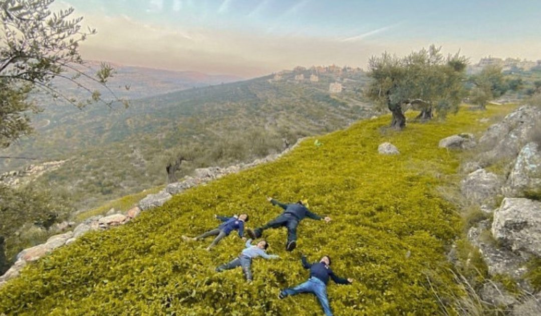 Unveiling Palestine’s Hidden Gems: A Comprehensive Guide to Responsible Travel and Cultural Immersion