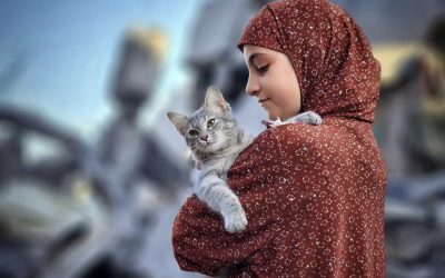 What are the people in Gaza doing for mental health right now? 