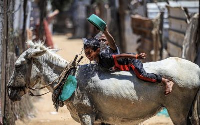 Mutual Aid in Gaza