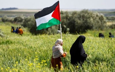 What Liberation Means to Us